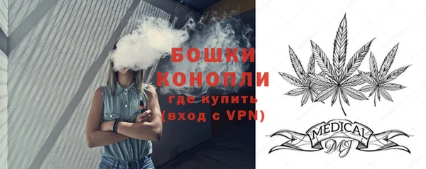 мяу мяу мука Белокуриха