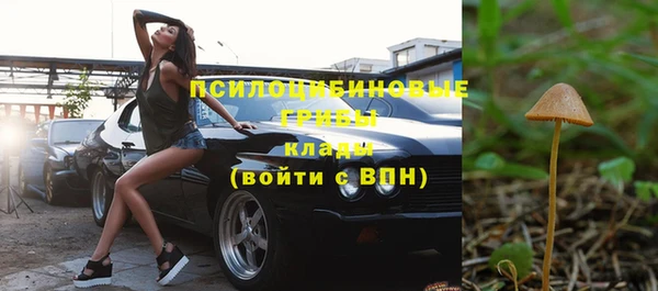 метадон Бородино