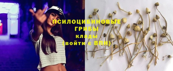 мяу мяу мука Белокуриха