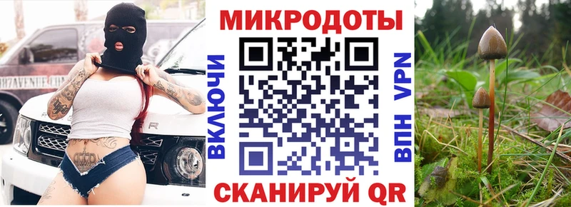 мориарти наркотические препараты Минеральные Воды Псилоцибиновые грибы прущие грибы
